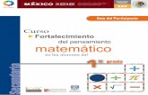 Curso "Fortalecimiento del pensamiento matemático en los alumnos de 1°" Secundaria.