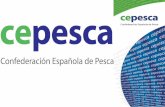 Presentación española Cepesca febrero 2015