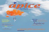 Revista Ápice Epilepsia Diciembre 2014