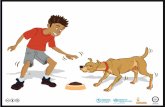 5 claves para la prevención de mordeduras de perro - Clave 1