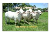 "FINAS CARNES S.A."