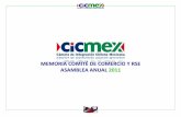 Memorias CICMEX 2011