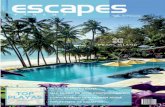 Escapes Edición # 44