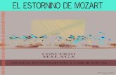 El Estornino de Mozart / Mayo 2013