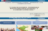 Concesiones Mineras - Responsabilidades Consecuencias