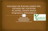 Colegio de Bachilleres Del Estado de Yucatán
