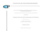 PRODUCCIÓN DE PAPA PROCESADA AVANZADO 2 .docx