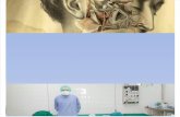 Historia de la Cirugía Plástica