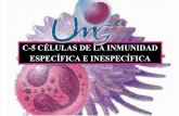 Células de Inmunidad