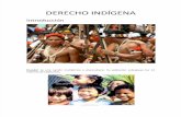 Derecho Indigena Parte Uno (1)