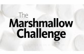 The Marshmallow Challenge