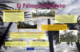 Presentación 1 El Palmeral
