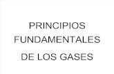 Principios Fundamentales de Los Gases