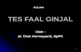Tes Faal Ginjal