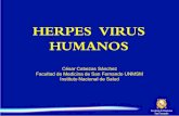 Teoria 6 Herpes y Hepatitis 2015