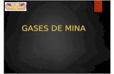09 Gases de Mina