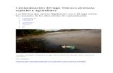 Contaminación Del Lago Titicaca Amenaza Especies y Agricultura