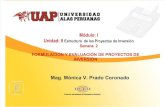 Estructura de Proyectos de Inversion.pdf