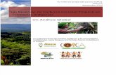 Las Reservas de Carbono Forestal en Los Territorios Indigenas
