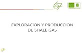 Shale Gas, Generalidades
