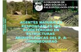 Agentes Naturales Responsables Del Biodeterioro en Estructuras Arqueologicas Del Parque Arqueológico de Choquequirao - Cusco