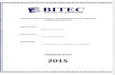 INFORME DE PRÁCTICAS FINALES  bitec - copia.pdf
