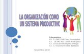 La Organización Como Sistema Producto