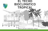 La Creatividad en El Techo Bioclimatico Tropical