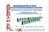 Laboratorio Radio Critico Luighi