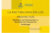 La Factibilidad de Los Proyectos_DEGP_Profesor Francisco Vasquez