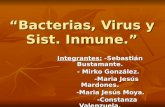 Trabajo de Biologia Virus Bacterias y Sist. Inmune