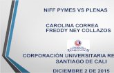 Niif Pymes vs Plenas