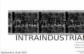 Comercio Interindustrial e Intraindustrial