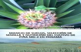 Biblioteca_280_Manejo de Suelos, Selección de Semilla y Nutrición Del Cultivo de PiñaMD-2 en Panama