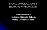 Bioacumulacion y Biomagnificacion