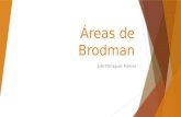 Áreas de Brodman