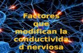 Conductividad nerviosa