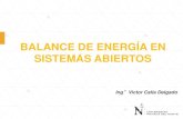 Balance de Energia en Sistemas Abiertos (1)