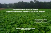 03.-Especies_Forrajeras_Manejo_y_Nutricion_Vegetal (1)