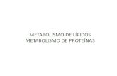 Metabolismo Lípidos y Proteínas