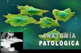 Introduccion a Anatomia Patologica