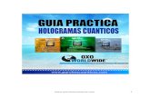 Guía Practica - Hologramas Cuánticos
