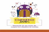 Capacitacion Tecnica Funcionamiento Del Congreso Joven- Angelica Rodriguez