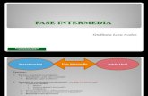 Fase Intermedia Aspectos Generales