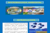 Clase I. Microbiología Ambiental 2015