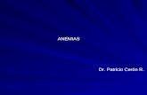 01.1.- Anemias (2013)