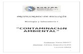 TRABAJO DE BIOLOGÍA - CONTAMINACION .docx