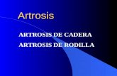 Clase Artrosis