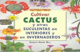 Jardineria Cactus