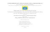 Estratigrafia y Sedimentología (Fm Inca)